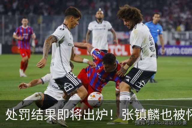 处罚结果即将出炉！张镇麟也被怀疑，球迷呼吁应取消上海冠军