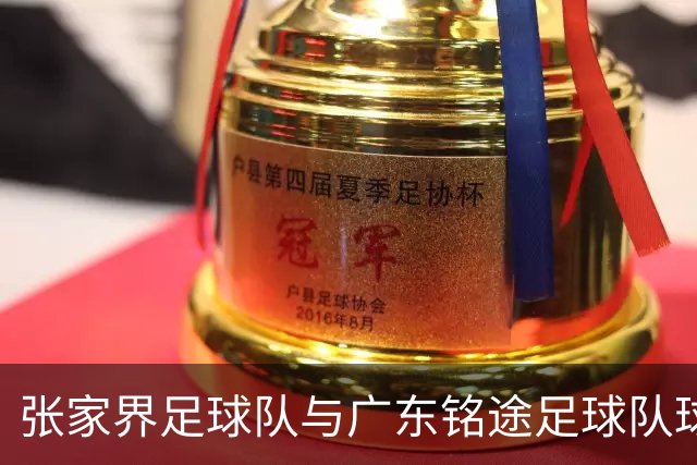 张家界足球队与广东铭途足球队球员赛中发生肢体冲突 官方通报