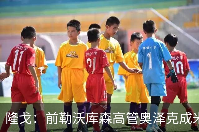 隆戈：前勒沃库森高管奥泽克成米兰总监候选，伊布已与他完成会面